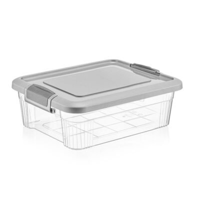 Caja organizadora 1.5L 19.8x14.5x8 cm QLUX IDEAS