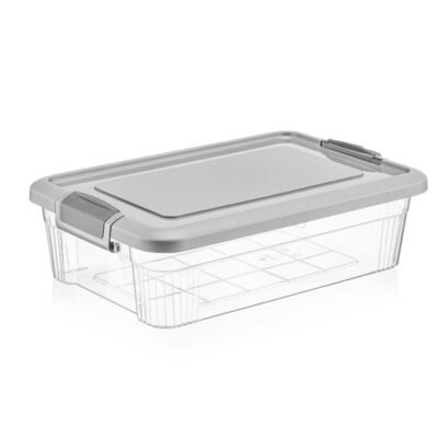 Caja organizadora 2.5L 29.8x19.8x7.8 cm QLUX IDEAS