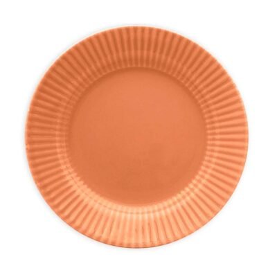 Plato postre Salmao 18 cm BIONA
