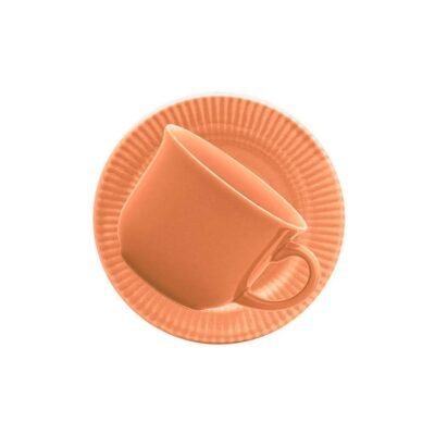 Taza de te con plato Salmao 200 ml BIONA